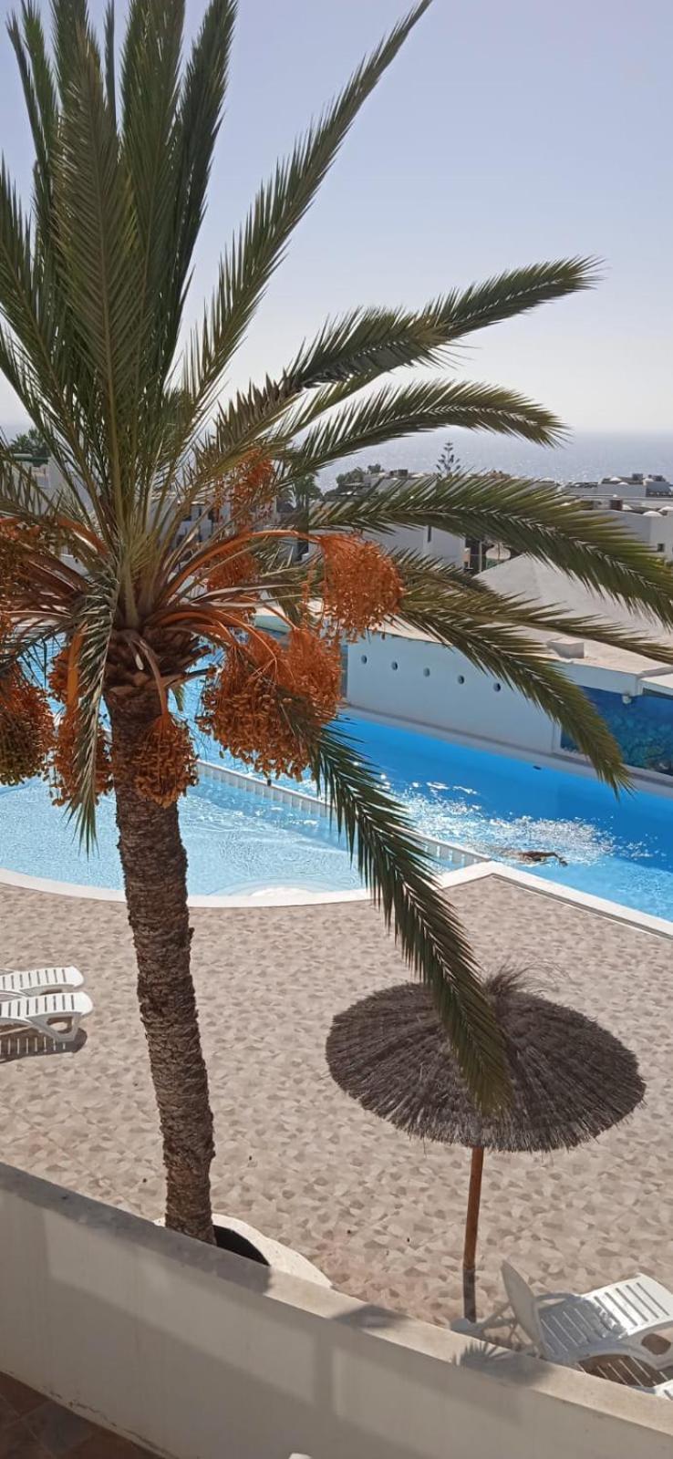 Blue View Hermoso Apartamento Remodelado Ubicacion Ideal Коста Тегисе Екстериор снимка